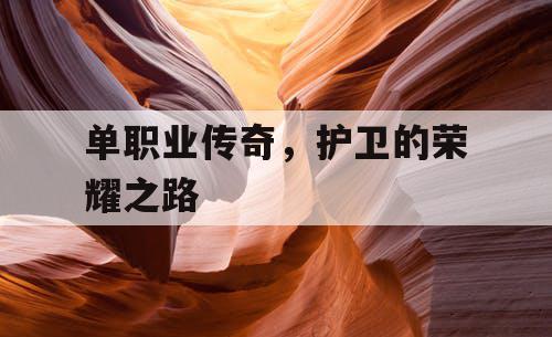 单职业传奇，护卫的荣耀之路