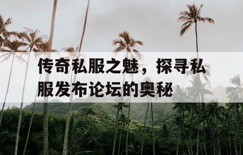 传奇私服之魅，探寻私服发布论坛的奥秘