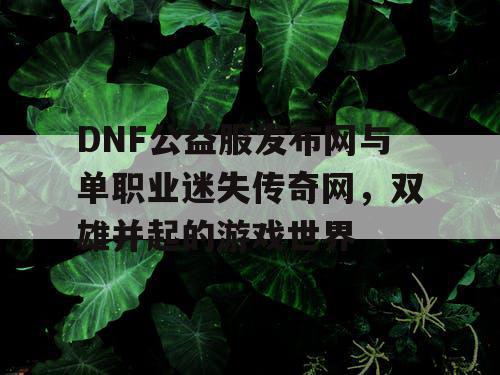 DNF公益服发布网与单职业迷失传奇网，双雄并起的游戏世界