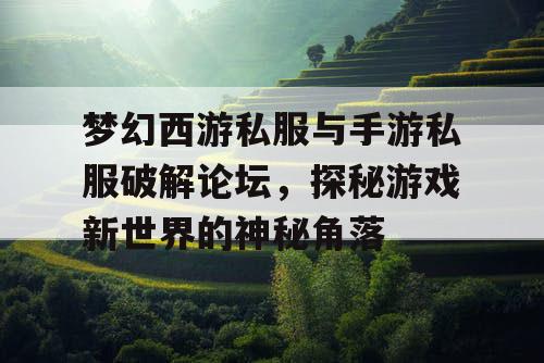 梦幻西游私服与手游私服破解论坛，探秘游戏新世界的神秘角落