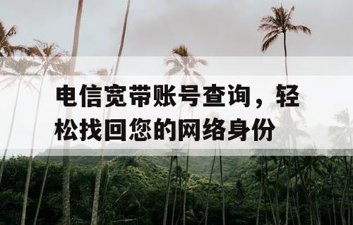 电信宽带账号查询，轻松找回您的网络身份