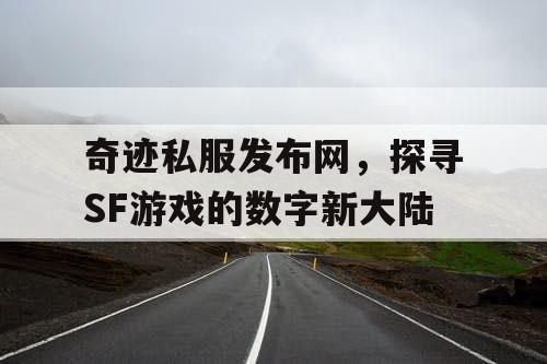 奇迹私服发布网,探寻SF游戏的数字新大陆 奇迹私服发布网,探寻SF游戏的数字新大陆