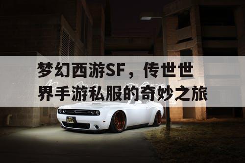 梦幻西游SF，传世世界手游私服的奇妙之旅