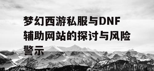 梦幻西游私服与DNF辅助网站的探讨与风险警示