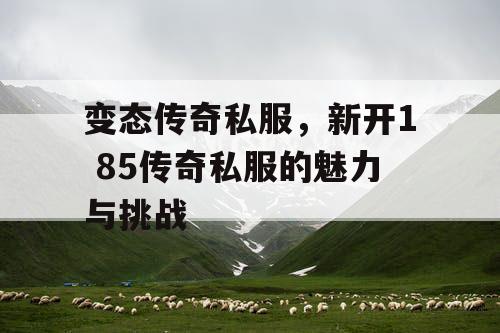 变态传奇私服，新开1 85传奇私服的魅力与挑战