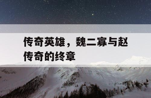 传奇英雄，魏二寡与赵传奇的终章