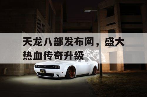 天龙八部发布网，盛大热血传奇升级