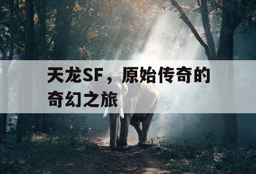 天龙SF,原始传奇的奇幻之旅 天龙SF,原始传奇的奇幻之旅