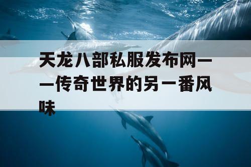 天龙八部私服发布网——传奇世界的另一番风味