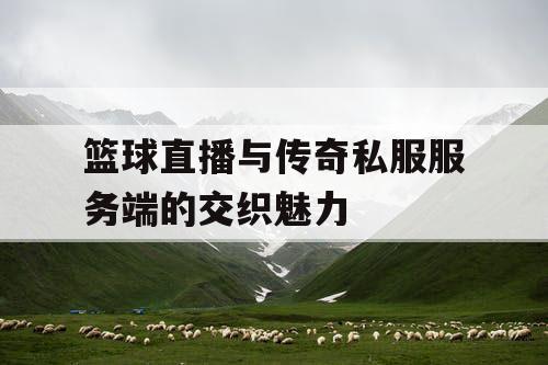 篮球直播与传奇私服服务端的交织魅力 篮球直播与传奇私服服务端的交织魅力