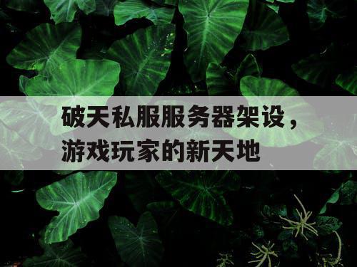 破天私服服务器架设，游戏玩家的新天地
