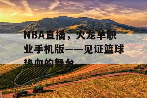 NBA直播，火龙单职业手机版——见证篮球热血的舞台