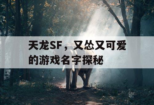 天龙SF，又怂又可爱的游戏名字探秘