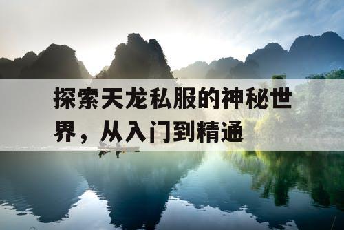 探索天龙私服的神秘世界，从入门到精通