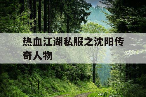 热血江湖私服之沈阳传奇人物