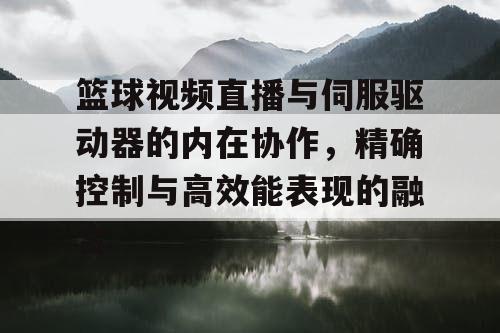 篮球视频直播与伺服驱动器的内在协作,精确控制与高效能表现的融合 篮球视频直播与伺服驱动器的内在协作,精确控制与高效能表现的融合
