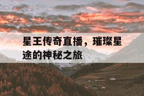 星王传奇直播，璀璨星途的神秘之旅