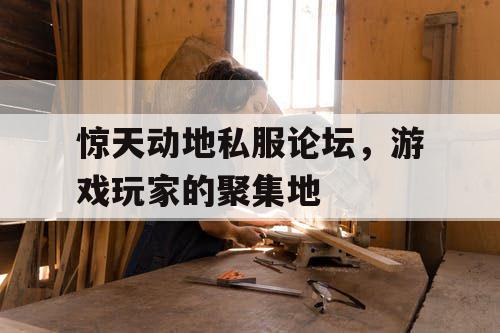 惊天动地私服论坛，游戏玩家的聚集地