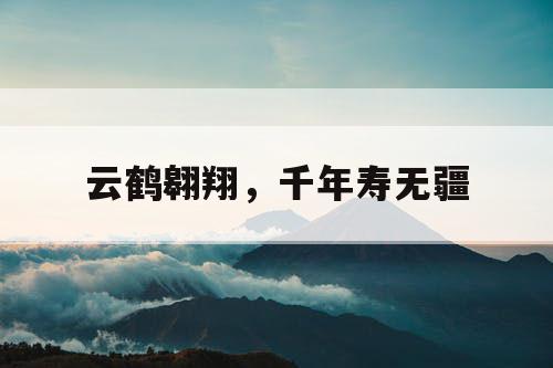 云鹤翱翔，千年寿无疆