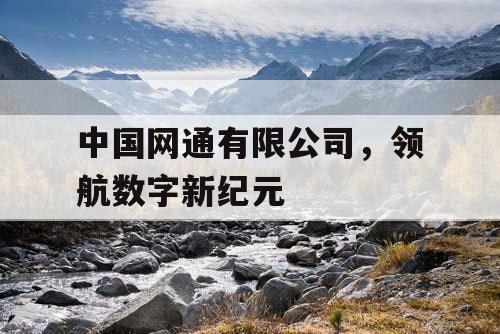中国网通有限公司，领航数字新纪元