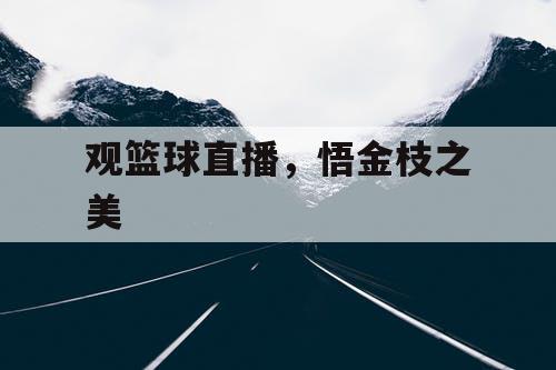 观篮球直播，悟金枝之美