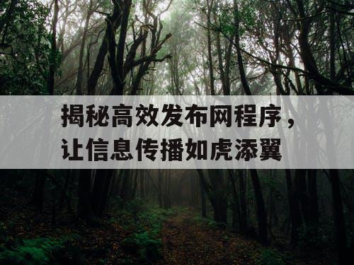 揭秘高效发布网程序，让信息传播如虎添翼