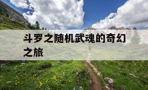 斗罗之随机武魂的奇幻之旅