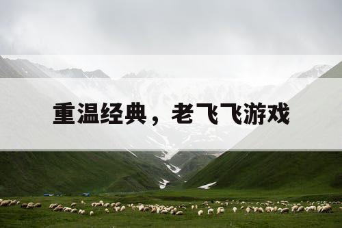 重温经典,老飞飞游戏 重温经典,老飞飞游戏