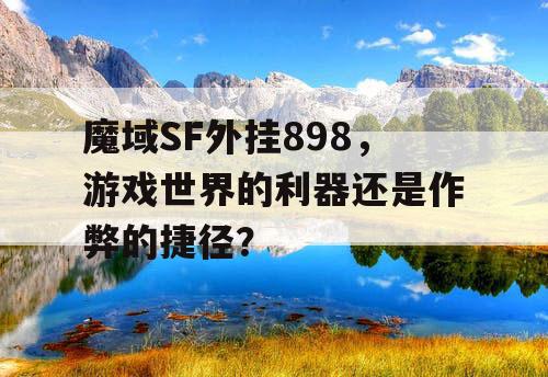 魔域SF外挂898，游戏世界的利器还是作弊的捷径？