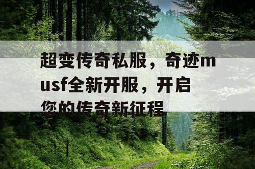 超变传奇私服，奇迹musf全新开服，开启您的传奇新征程