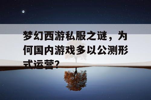梦幻西游私服之谜,为何国内游戏多以公测形式运营? 梦幻西游私服之谜,为何国内游戏多以公测形式运营?