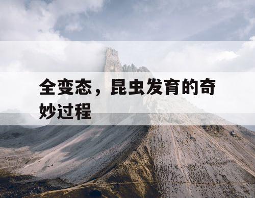 全变态，昆虫发育的奇妙过程