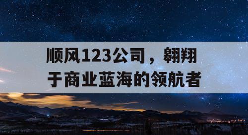 顺风123公司,翱翔于商业蓝海的领航者 顺风123公司,翱翔于商业蓝海的领航者