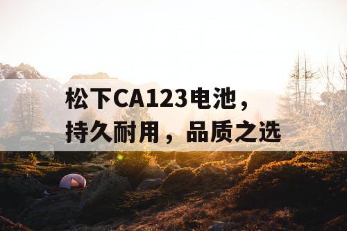松下CA123电池，持久耐用，品质之选