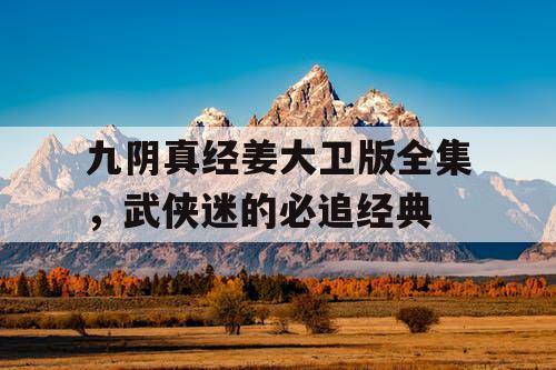 九阴真经姜大卫版全集，武侠迷的必追经典
