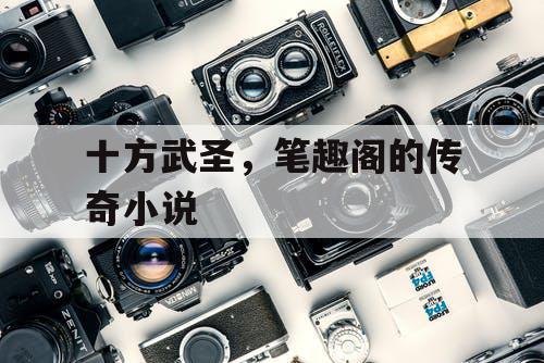 十方武圣,笔趣阁的传奇小说 十方武圣,笔趣阁的传奇小说