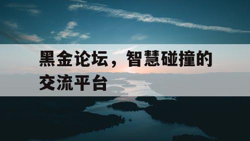 黑金论坛，智慧碰撞的交流平台