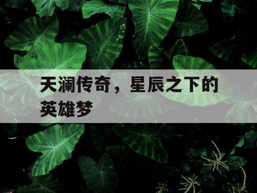 天澜传奇，星辰之下的英雄梦