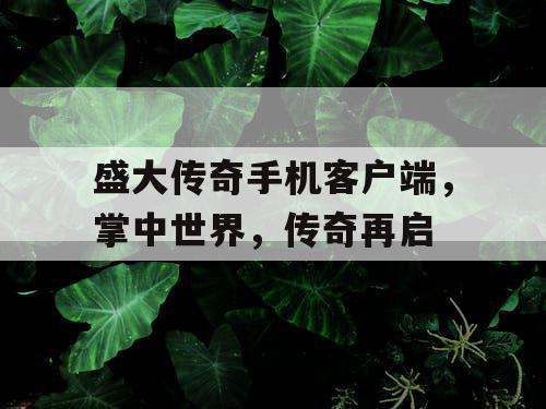 盛大传奇手机客户端，掌中世界，传奇再启