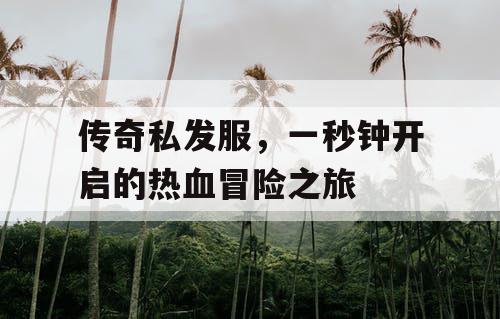 传奇私发服，一秒钟开启的热血冒险之旅