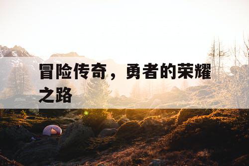 冒险传奇,勇者的荣耀之路 冒险传奇,勇者的荣耀之路