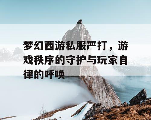 梦幻西游私服严打，游戏秩序的守护与玩家自律的呼唤