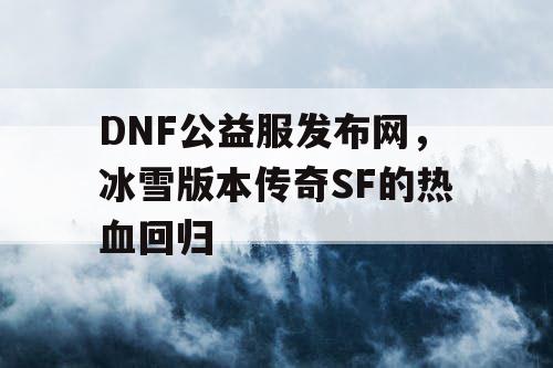 DNF公益服发布网，冰雪版本传奇SF的热血回归
