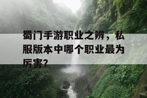 蜀门手游职业之辨，私服版本中哪个职业最为厉害？
