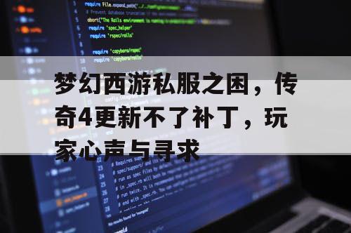 梦幻西游私服之困,传奇4更新不了补丁,玩家心声与寻求 梦幻西游私服之困,传奇4更新不了补丁,玩家心声与寻求