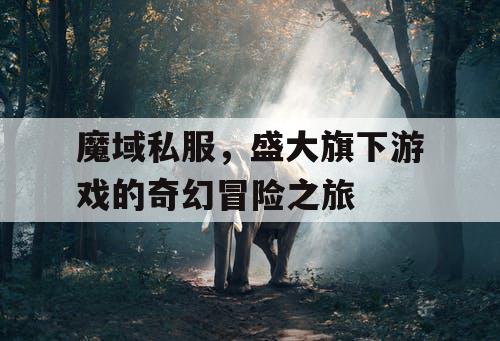 魔域私服，盛大旗下游戏的奇幻冒险之旅