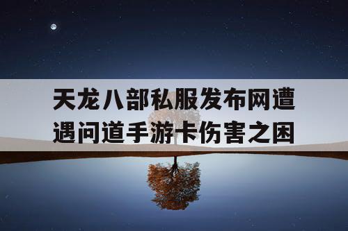 天龙八部私服发布网遭遇问道手游卡伤害之困