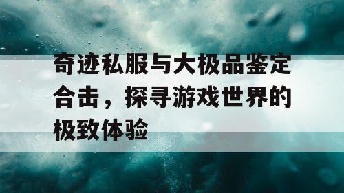 奇迹私服与大极品鉴定合击，探寻游戏世界的极致体验