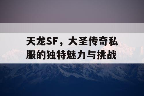 天龙SF，大圣传奇私服的独特魅力与挑战