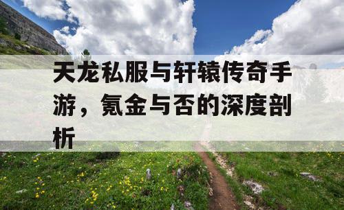 天龙私服与轩辕传奇手游，氪金与否的深度剖析